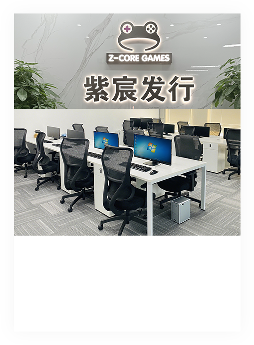 公司介绍